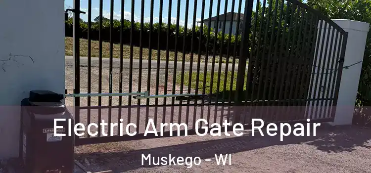 Electric Arm Gate Repair Muskego - WI
