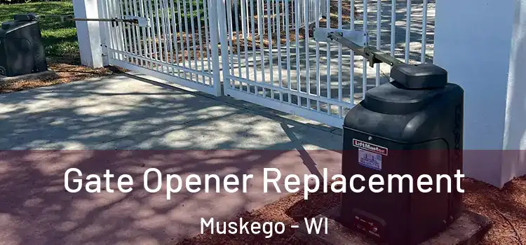 Gate Opener Replacement Muskego - WI